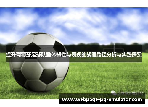 提升葡萄牙足球队整体韧性与表现的战略路径分析与实践探索