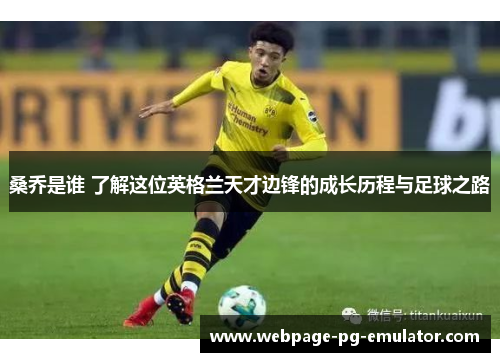 桑乔是谁 了解这位英格兰天才边锋的成长历程与足球之路 桑乔是谁 了解这位英格兰天才边锋的成长历程与足球之路