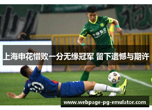 上海申花惜败一分无缘冠军 留下遗憾与期许 上海申花惜败一分无缘冠军 留下遗憾与期许