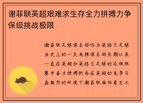 谢菲联英超艰难求生存全力拼搏力争保级挑战极限 谢菲联英超艰难求生存全力拼搏力争保级挑战极限