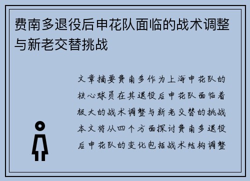费南多退役后申花队面临的战术调整与新老交替挑战